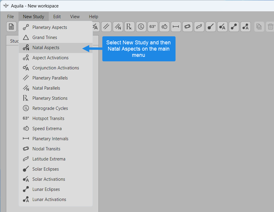 New Natal Aspects study menu selection